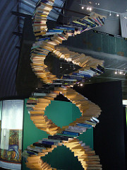 Doble Hélice de ADN… hecha de libros