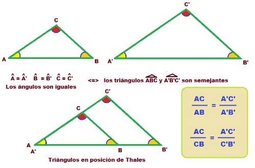 Triángulos Semejantes Thales Y Pitágoras