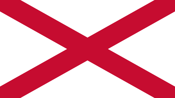 Saint Patrick's Flag: a red saltire on a field of white
