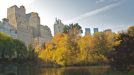 Central Park during Autumn