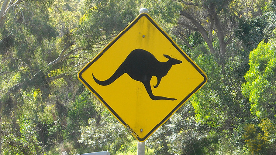 Sign Kangaroo