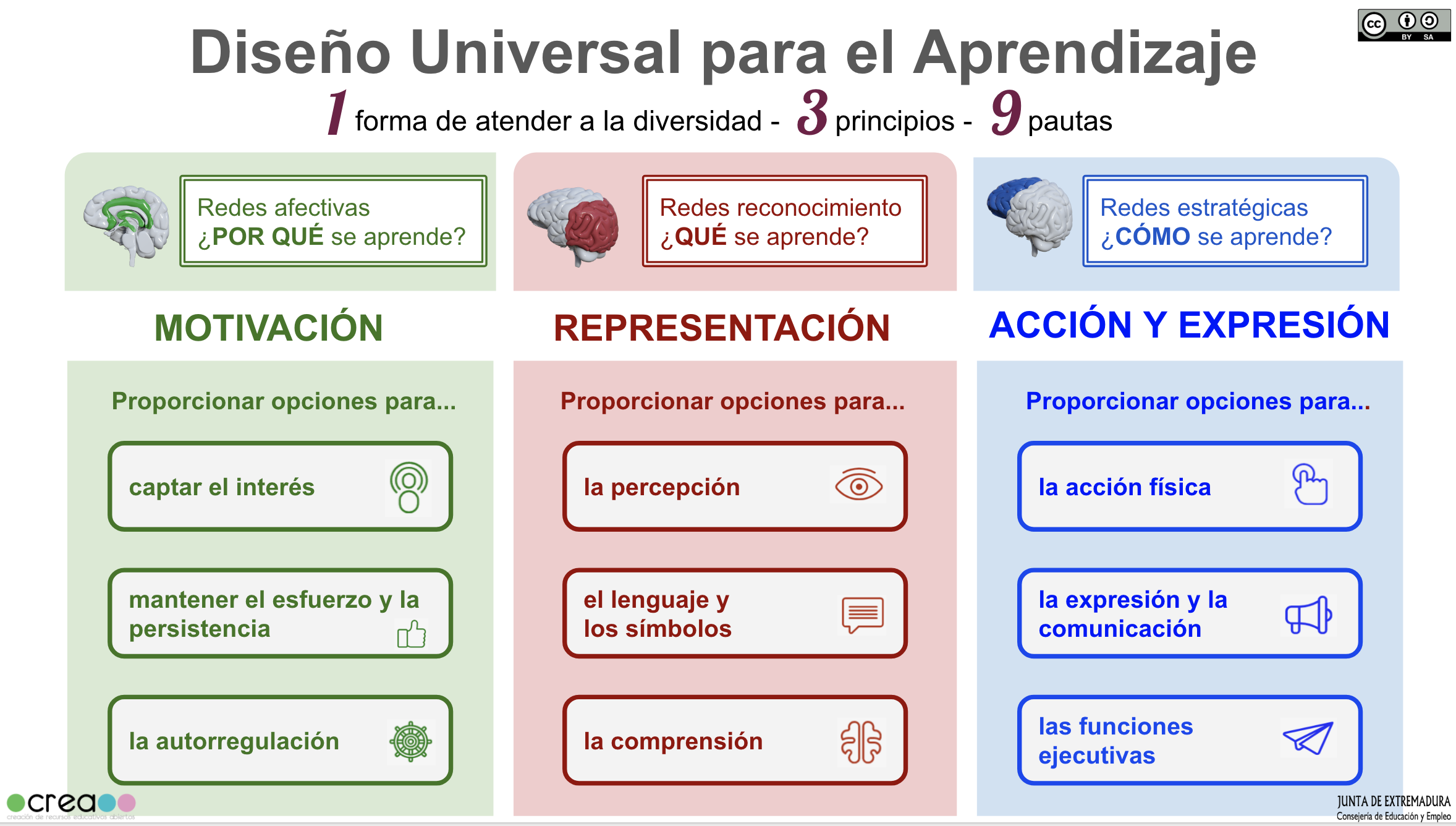 Infografía DUA