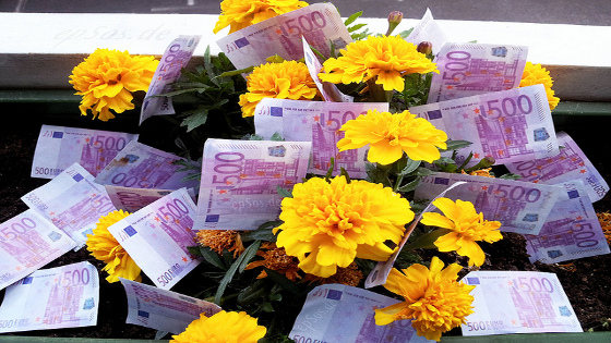 Growing Free Money on Flowers