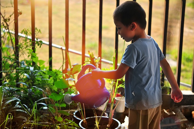 niño regando las plantas