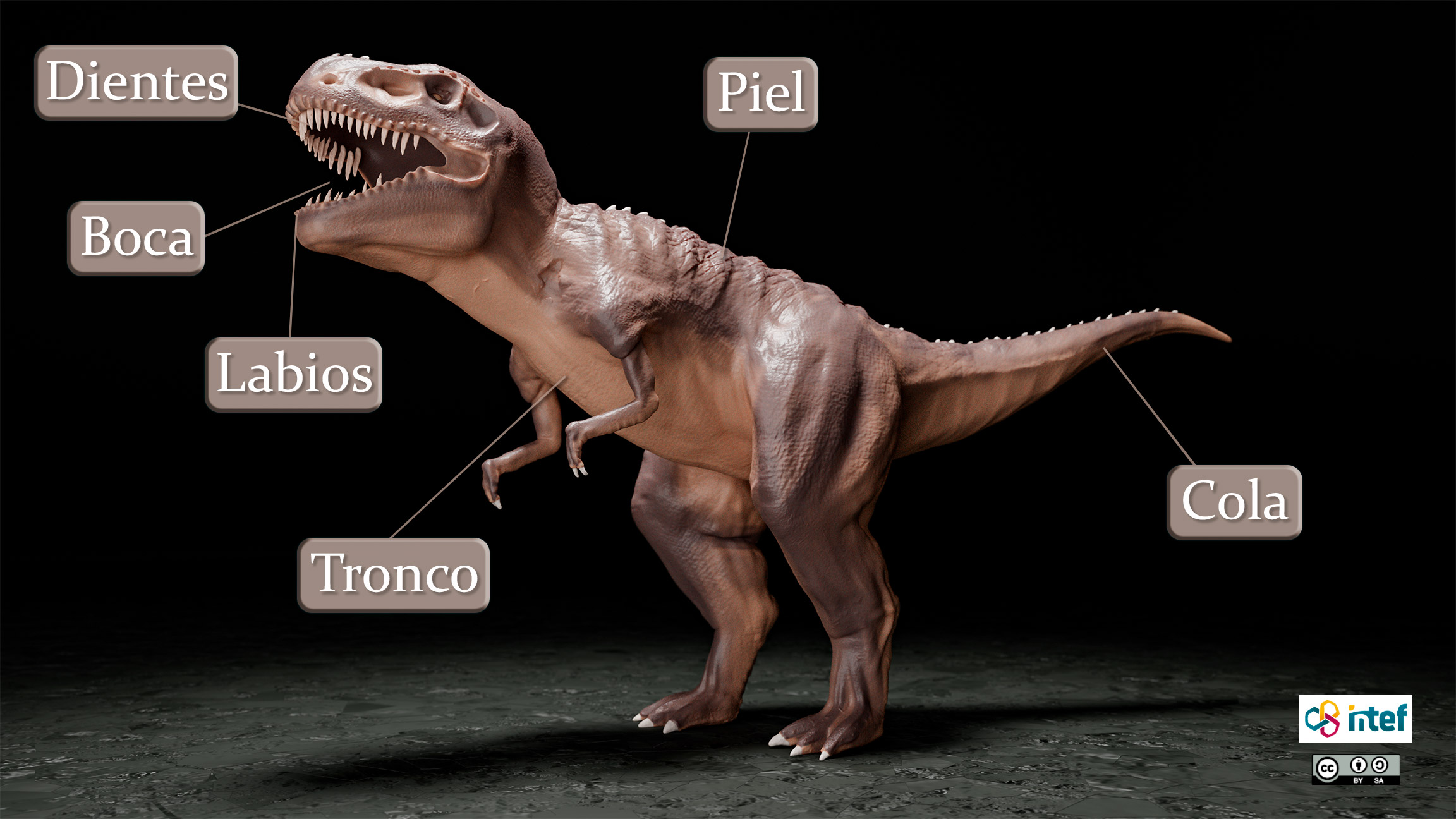 Anatomía de un dinosaurio