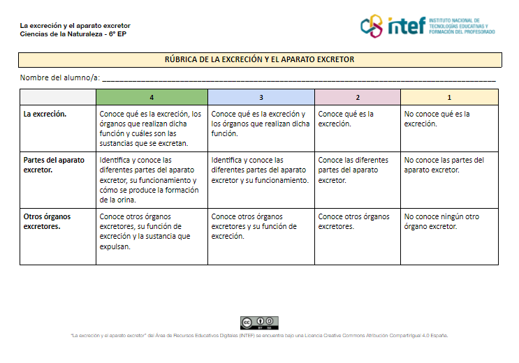 Rúbrica de La excreción y el aparato excretor Rúbrica de La excreción y el aparato excretor