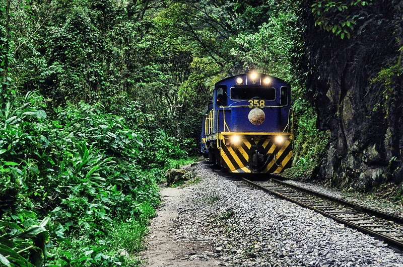 Tren atravesando un bosque
