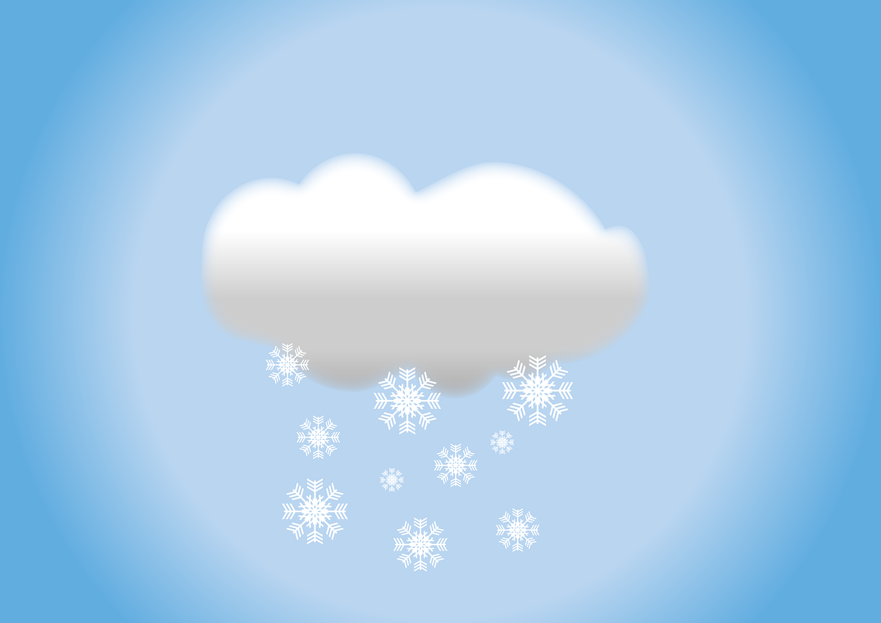 NIEVE NIEVE