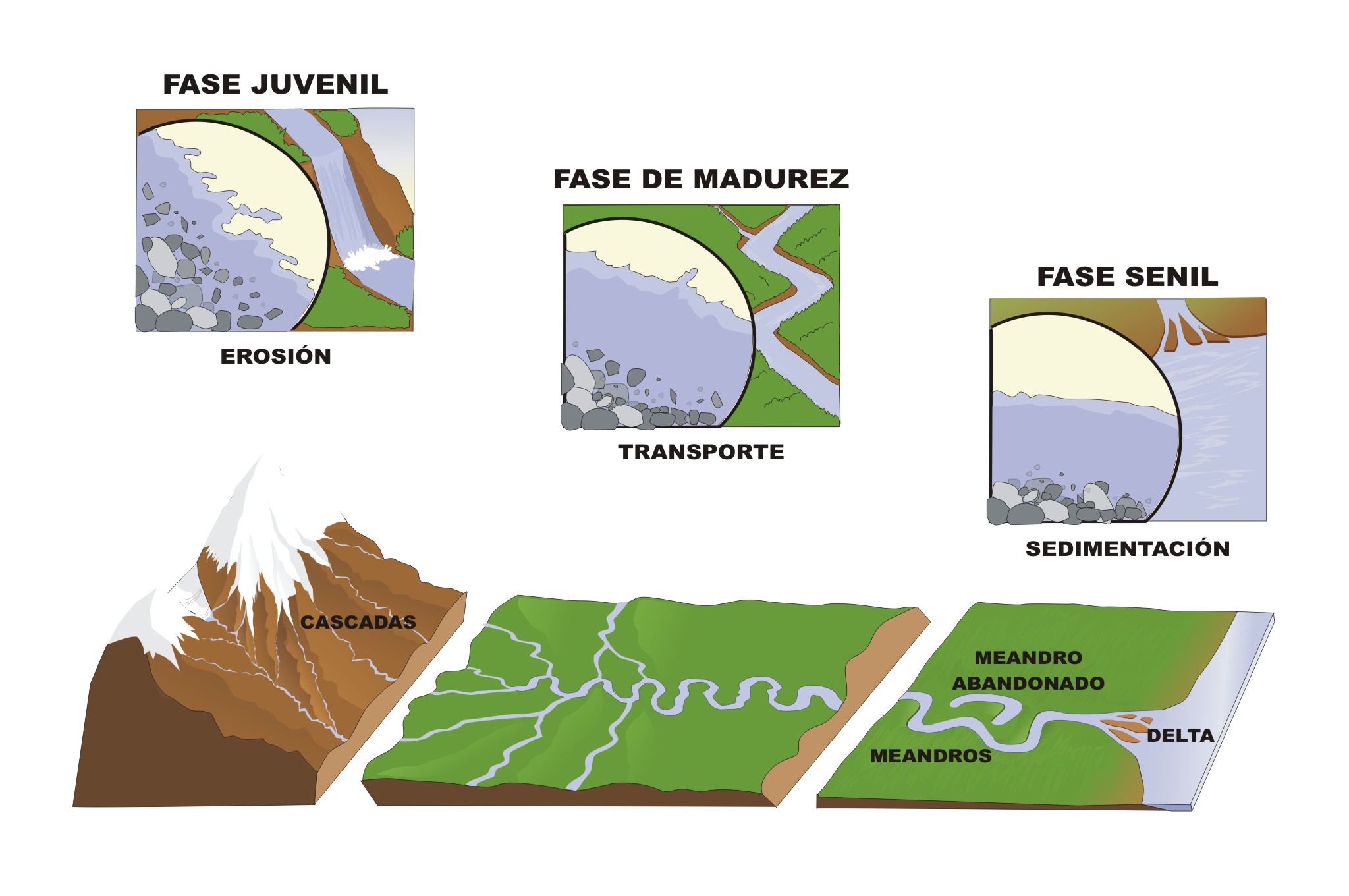 Fases de un río Imagen en la que aparecen varias imágenes de los diversos lugares o zonas en que se divide un río