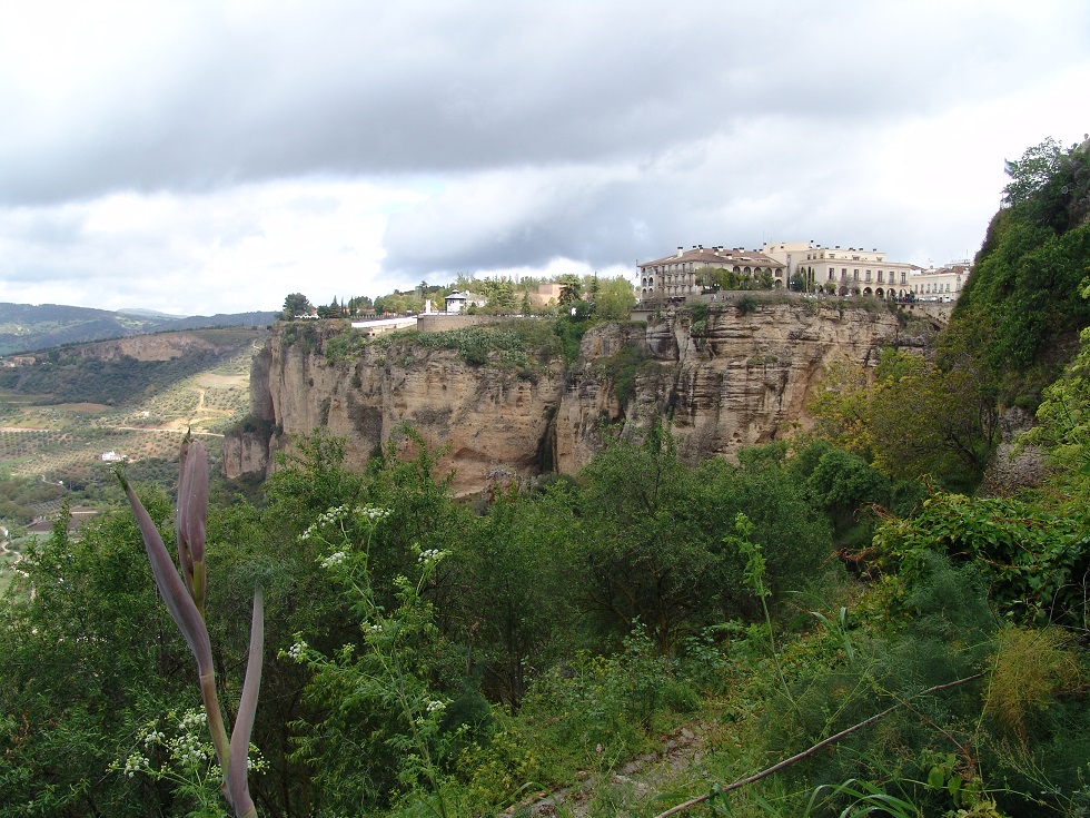 Meseta andaluza