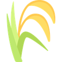 Trigo