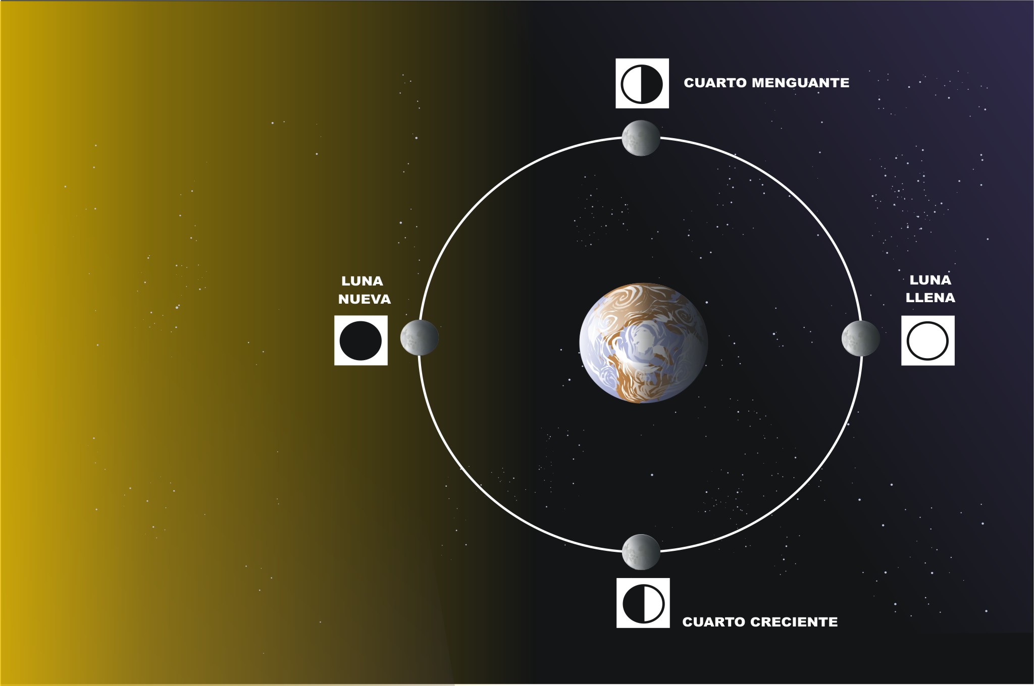Las fases de la luna Imagen que presenta las diversas fases lunares