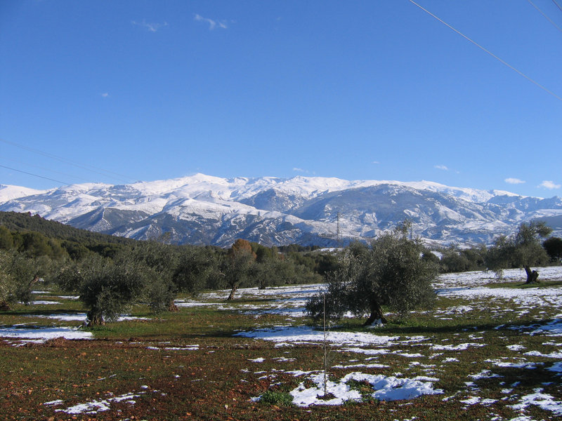 Sierra Nevada Paiaje de Sierra Nevada