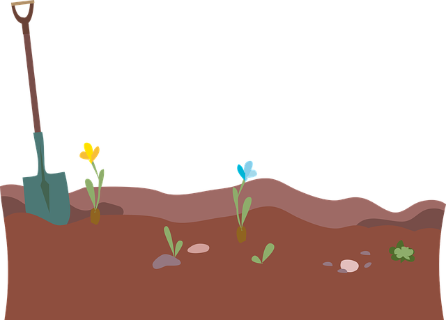 Ilustración de una tierra cultivada
