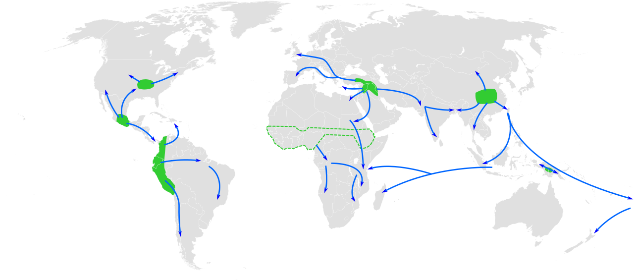 Mapa mundial sobre el origen y difusión del Neolítico
