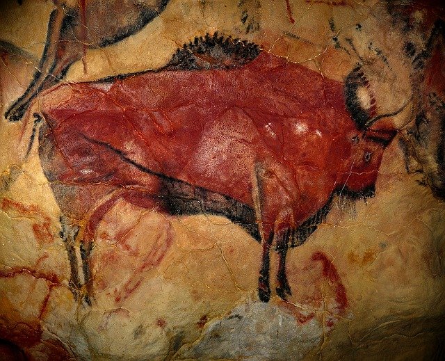 Fotografía de un bisonte de la Cueva de Altamira