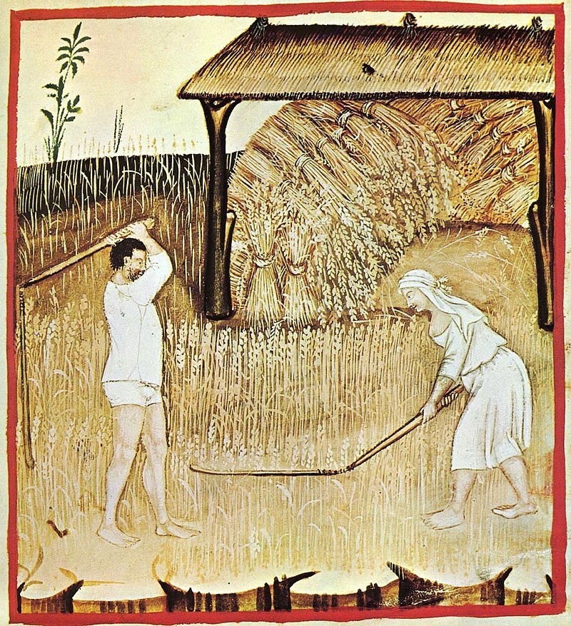 Ilustración del siglo XIV de un manual medieval sobre salud que muestra unos campesinos separando el grano.