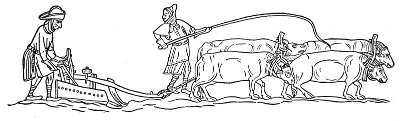 Dos campesinos labrando con un arado romano tirado por cuatro bueyes en la época medieval.