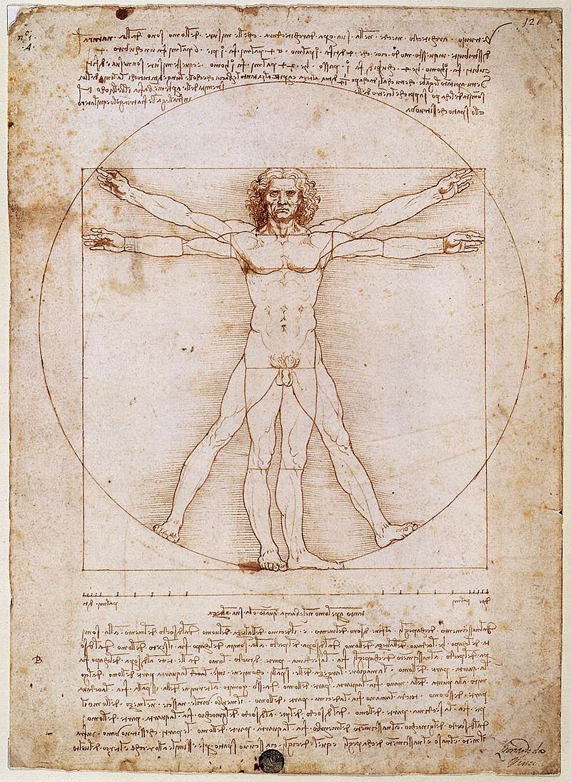 Representación del hombre de Vitrubio, ideal renacentista.