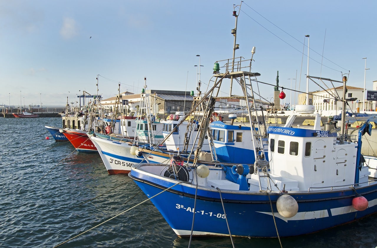 barcos de pesca