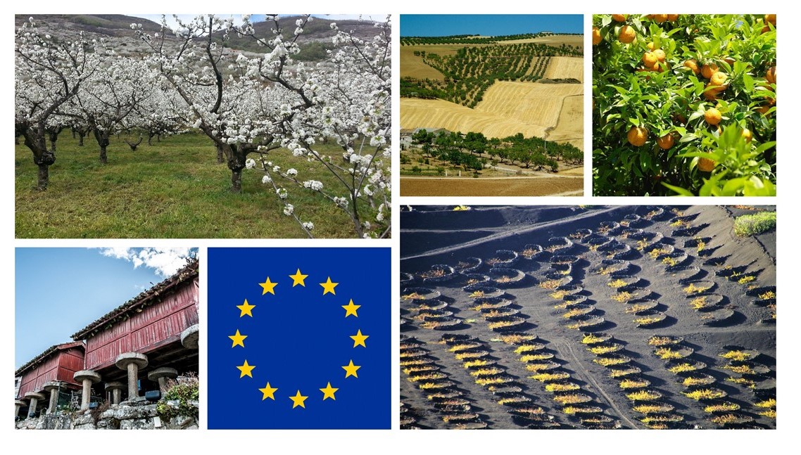diferentes paisajes agrícolas españoles y bandera europea