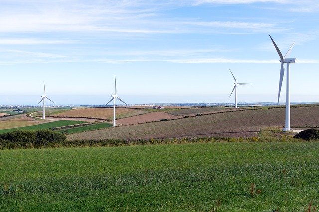 Energía eólica Fotografía de un campo en el que aparecen turbinas eólicas.
