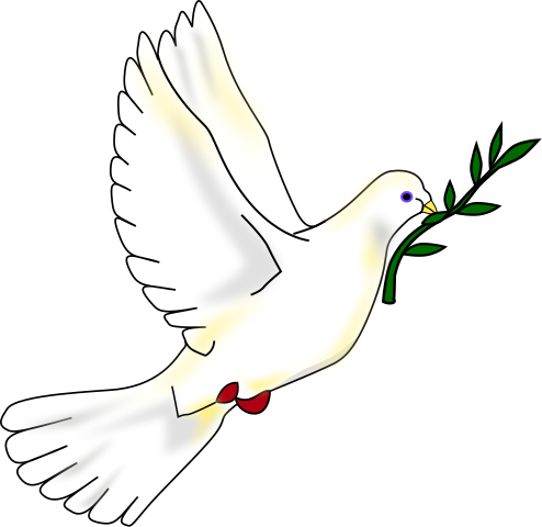 Paloma portando en el pico una rama de olivo, uno de los símbolos de la paz.
