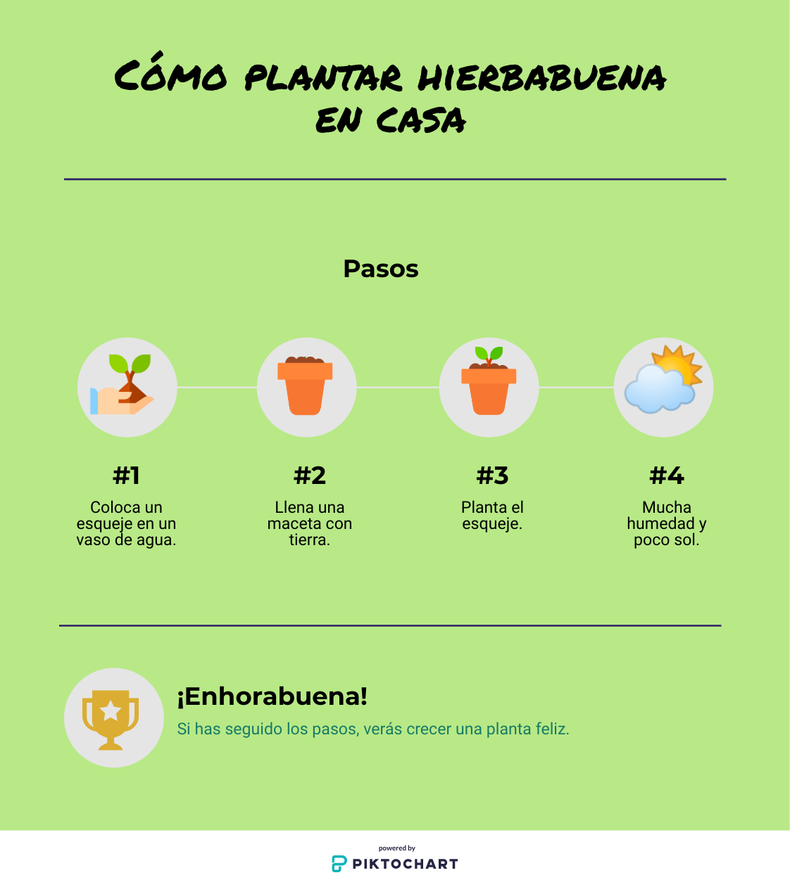 Inforgrafía en 4 pasos: Cómo plantar hierbabuena en casa