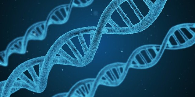 Imagen del ADN