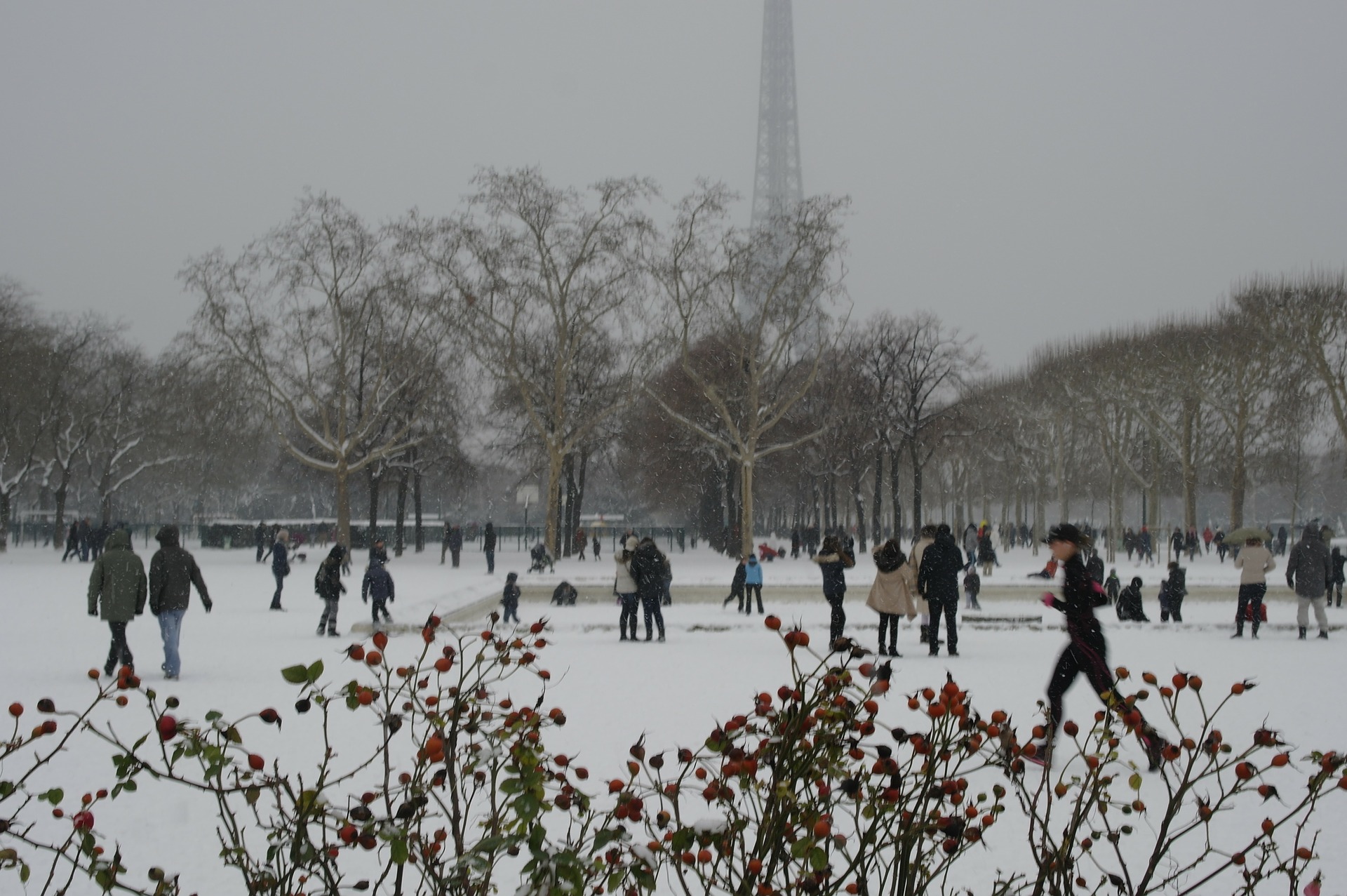 Nieve París Parque de París nevado con la Torre Eiffel de fondo