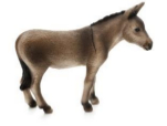 burro 