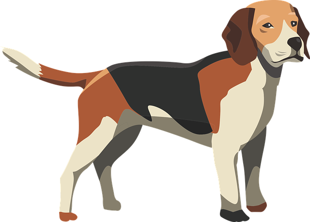 mi perro Toby Ilustración de un perro con distintos colores