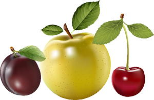 Tres ricas frutas Tres frutas: Manzana, ciruela y cerezas