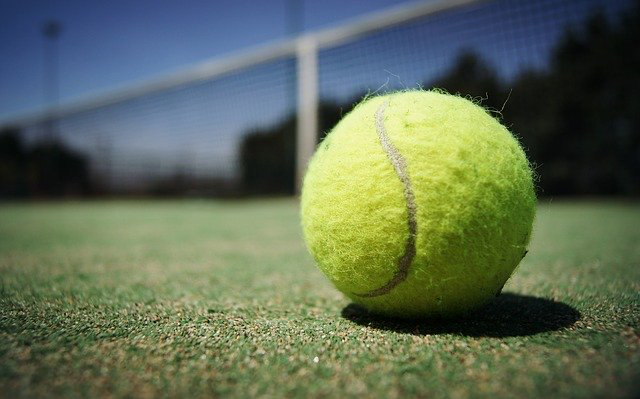 Pelota Pelota