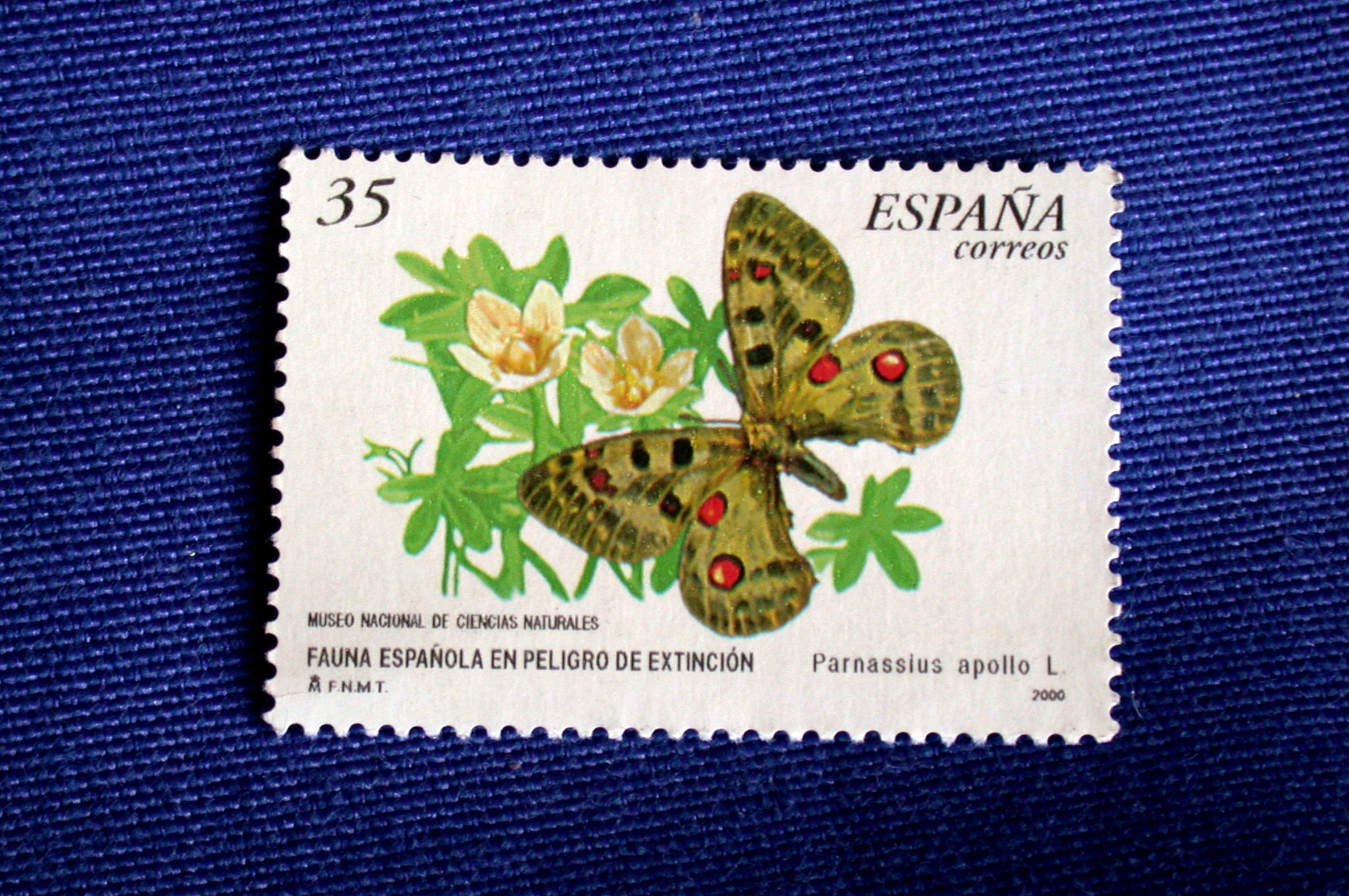 Imagen de un sello español