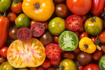Variedad de tomates Tomate variado: verde, rojo, abierto y entero