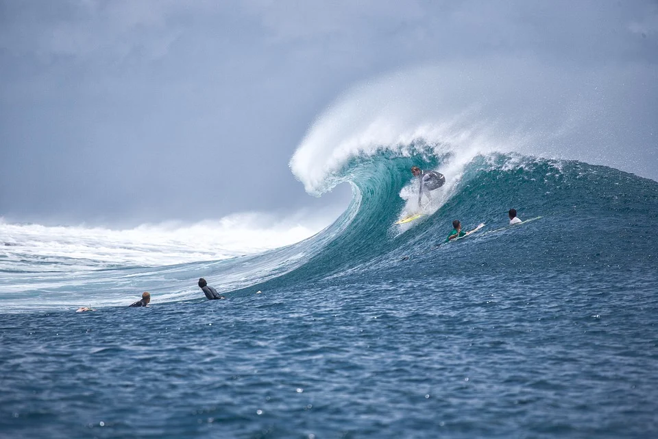 Fotografía en la que aparecen personas practicando surf
