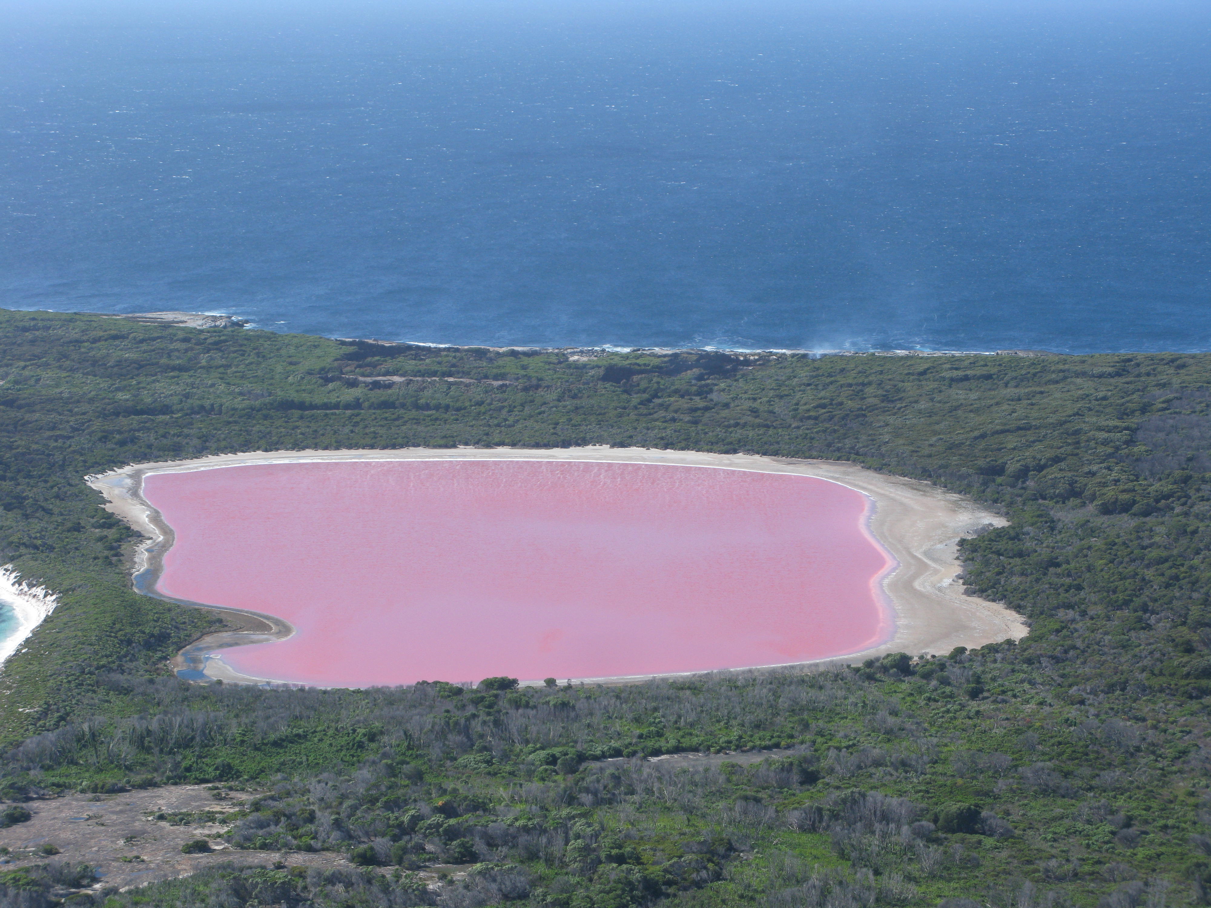 Lago rosa