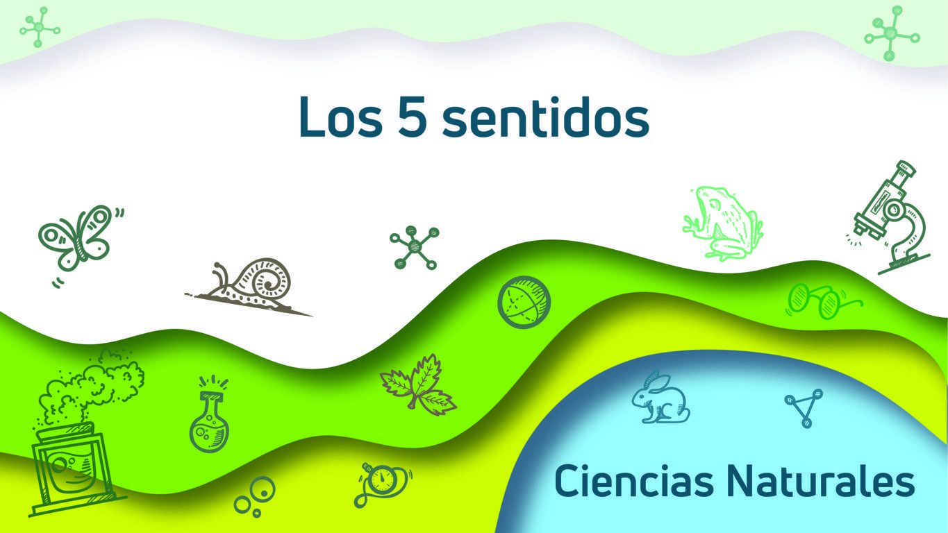 sentidos