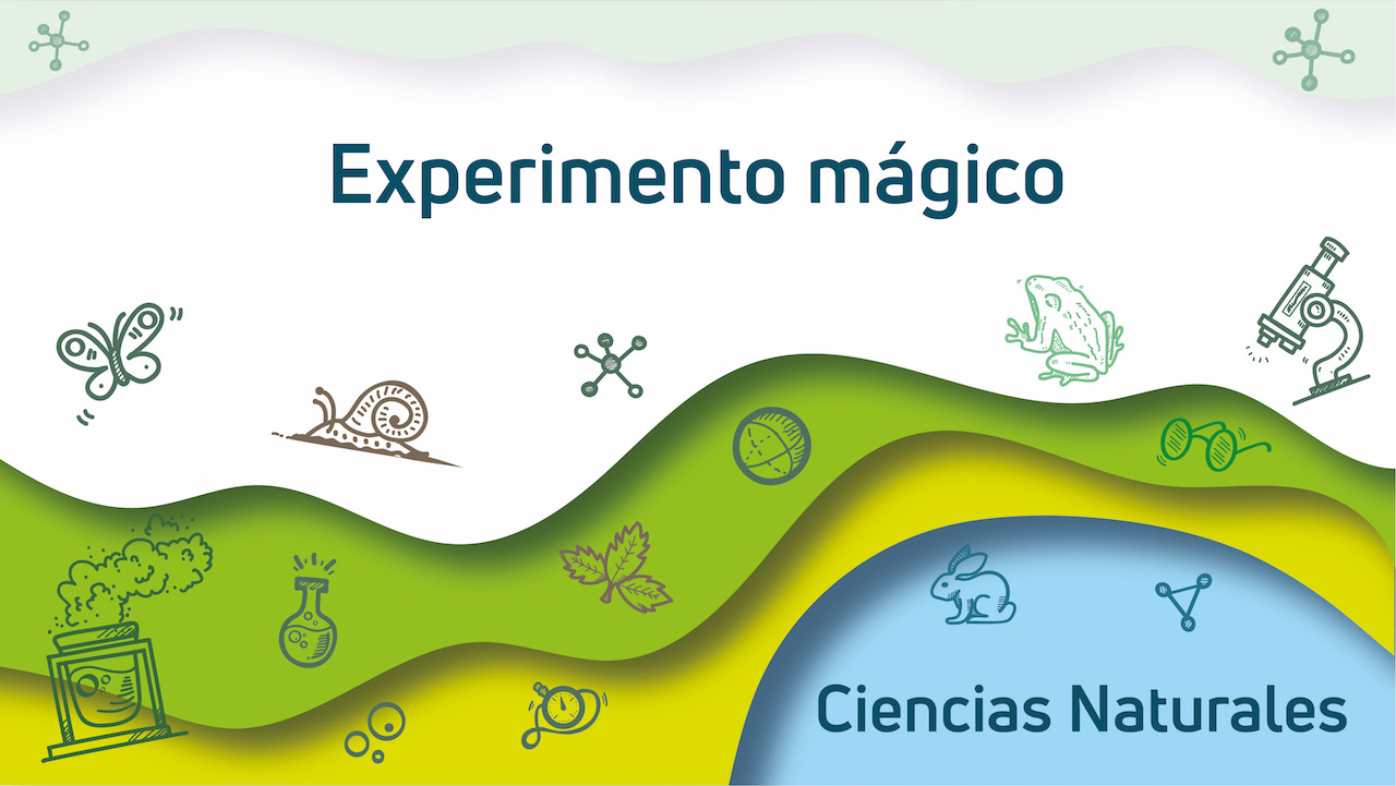 experimento